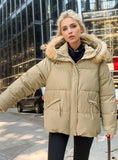 Short cotton-padded Down Jacket Coat