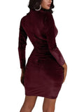 Long Sleeves Velvet Ruched Mini Dresses