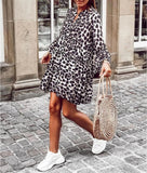 Leopard Print Long Sleeve Casual Dress