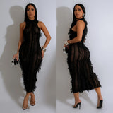 Temperament Sleeveless See-Through Mesh Dress