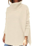 Simple Style Comfy Turtle Neck Solid Color Sweater For Women