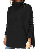 Simple Style Comfy Turtle Neck Solid Color Sweater For Women Shopvhs.com