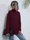 Solid Color Turtleneck Knit Sweater