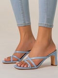 Thin Strap Chunky Heel Sandals Shopvhs.com