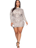 Glitter Long Sleeve Tassel Bodycon Mini Dresses