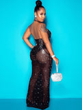 Rhinestone Mesh Backless Bodycon Maxi Dresses