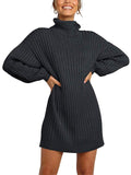 Casual Fit Turtleneck Ribbed Knit Midi Pullover Sweater Dress Shopvhs.com
