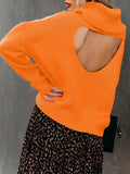 Commuter OL Turtleneck Bare Back Sweater Shopvhs.com