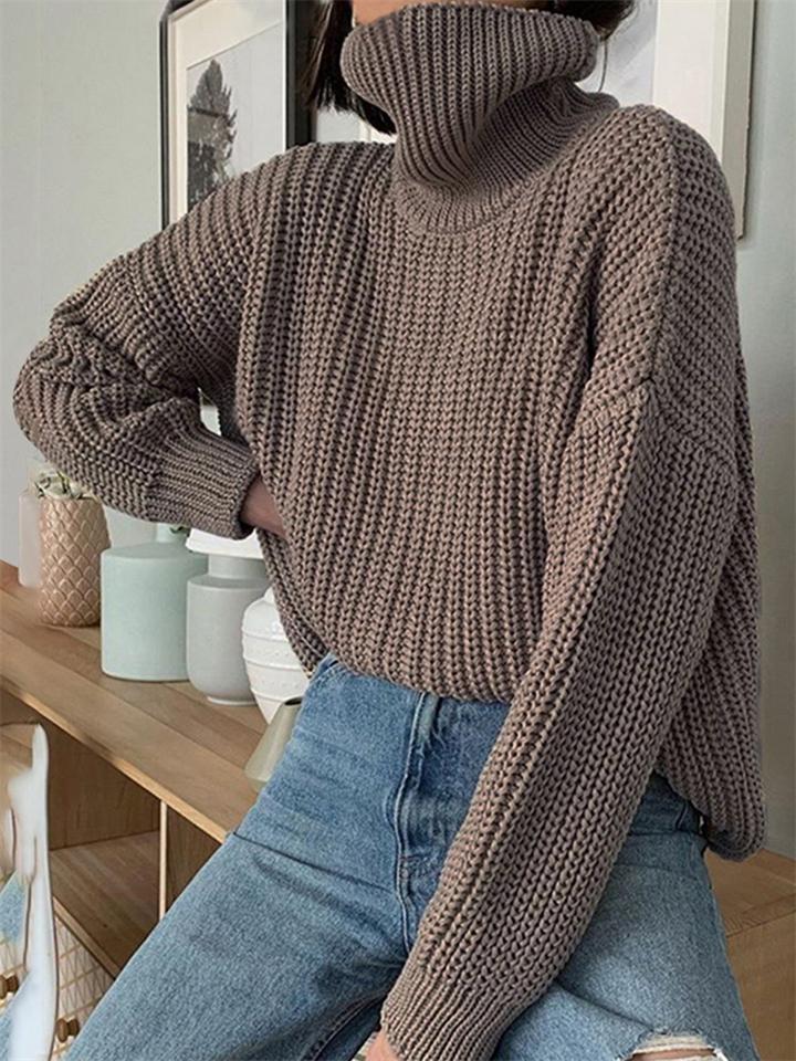 Elegant Turtleneck Solid Color Pullover Sweater Shopvhs.com