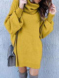 Turtleneck Long Sleeve Sweater Mini Dress
